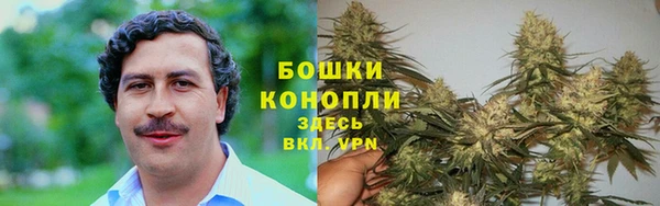 кокс Покачи
