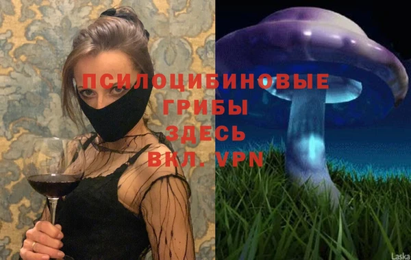 хмурый Арсеньев