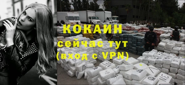 мяу мяу мука Армянск