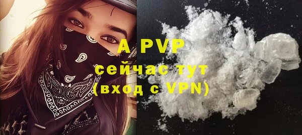 хмурый Арсеньев