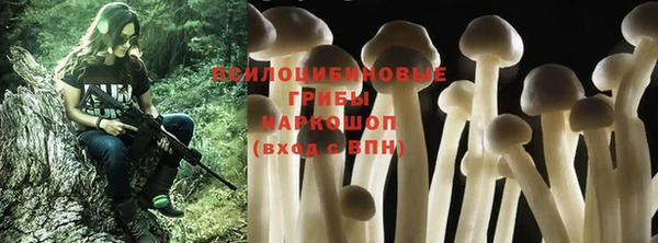 мяу мяу мука Армянск
