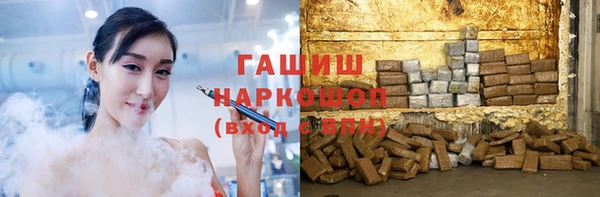 хмурый Арсеньев