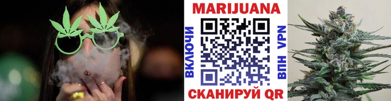 Конопля конопля Бородино